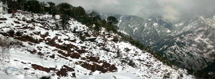 401/Nandini Residency - Dharamshala 09.jpg